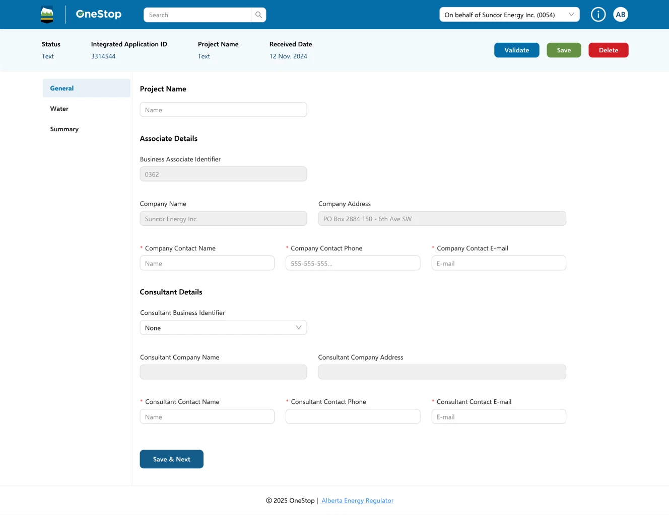 General step of an application: project name, associate details, company address and contact, consultant details and a Save & Next button